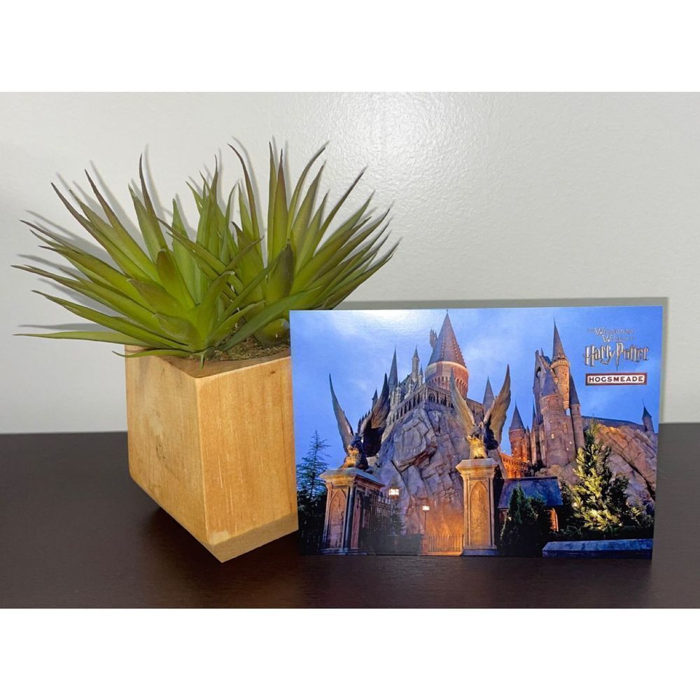 Universal Orlando Wizarding World of HARRY POTTER Hogsmeade Stamped Postcard.
